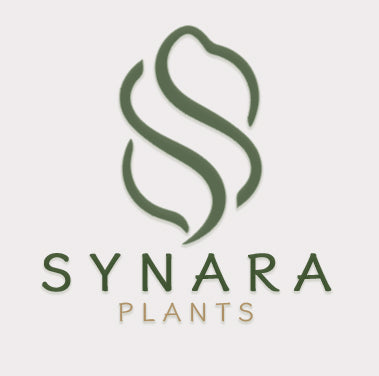 Synara Plants